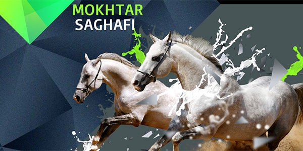 Mokhtar SAGHAFI 多边形网页设计Polygon web design