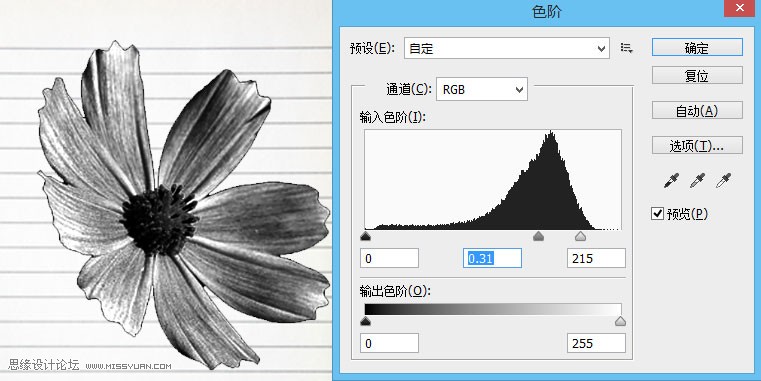 Photoshop制作蓝色圆珠笔手绘花朵照片,PS教程,思缘教程网