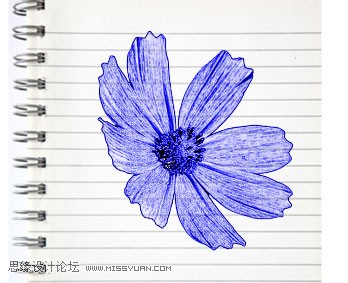 Photoshop制作蓝色圆珠笔手绘花朵照片 三联