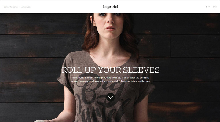 damndigital_21-inspiring-examples-of-big-images-in-web-design_big-cartel-shop