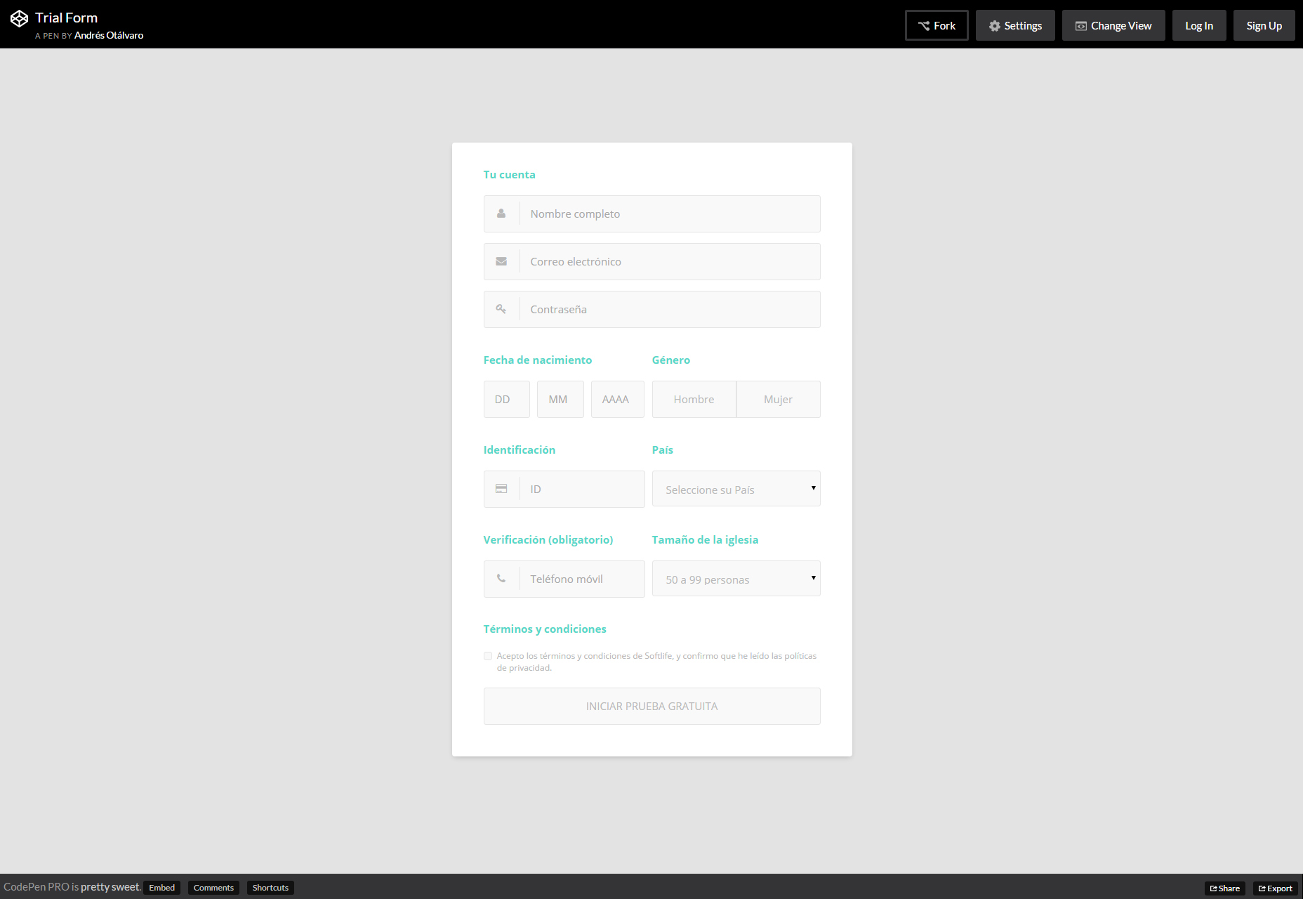trial-form-nice-css-form-template