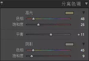 Photoshop调出复古暖黄色的人像照片,破洛洛