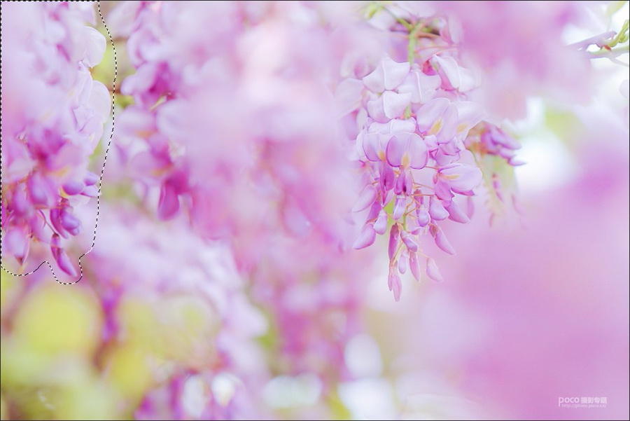 粉色花朵：PS调出外景花朵粉色主题结果,破洛洛